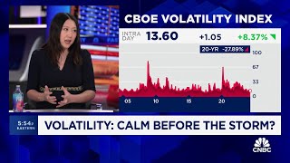 ‘Very little fear in market ahead of CPI report CBOE’S Mandy Xu finds [upl. by Ahsyas360]