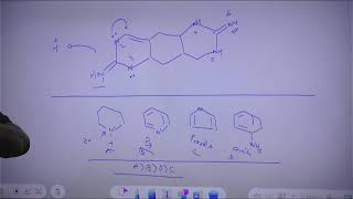 Nitrogenous Base In Organic Compounds [upl. by Eliath76]