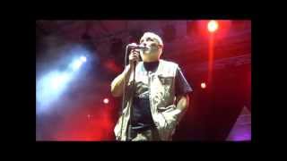 Balasevic  Mostar Live 572013 [upl. by Neetsirk954]