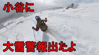 skiing japanMonoski Life is Good 大雪警報でたコルチナ、ハクノリパウダー [upl. by Eniamat689]