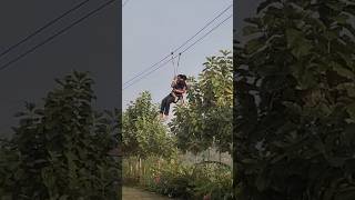 Aanandam sagamytshorts trending viralshorts ziplineadventure zipline adventure subscribe [upl. by Dukie]