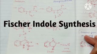 Fischer Indole Synthesis  madelung Synthesis [upl. by Eeram]