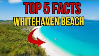 Whitehaven Beach5 Facts About Whitehaven Beach [upl. by Welker]