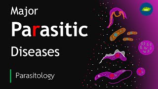 Parasitic Diseases in Humans  Parasitic Infections Worldwide  Basic Science Series [upl. by Barthol]