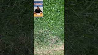 Overseed your fescue lawn today overseeding lawncare seeder seeds seed [upl. by Brandwein]