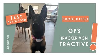 Getestet Tractive GPS Tracker für Hunde  Produkttest [upl. by Enaj]