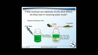 Paracetic Acid for Disinfection of Municipal Effluent [upl. by Sibella]