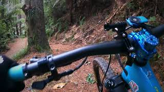 Whakarewarewa forest mountain biking [upl. by Nohj306]