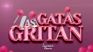 Las Gatas Gritan RKT  Lucaas Remix [upl. by Melesa]