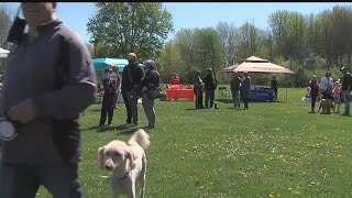 Community raises money for new dog park in Columbiana [upl. by Ynaffi]