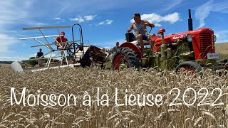 Moisson à l’ancienne avec Lieuse Mc Cormick et Tracteur zetor [upl. by Yerxa]