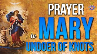 🌹 Divine Solace Prayer to Mary Undoer of Knots [upl. by Gereron812]