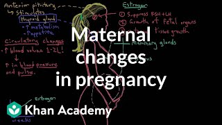 Maternal changes in pregnancy  Reproductive system physiology  NCLEXRN  Khan Academy [upl. by Oicul569]