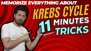 Krebs cycle tricks  How to remember krebs cycle  Krebs cycle made easy [upl. by Nylirac]