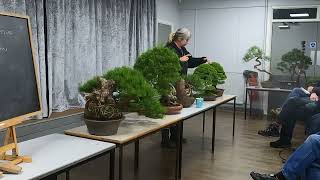 Unlocking Breathtaking Knowledge Caz Scotts South Yorkshore Bonsai Society Talk [upl. by Kassaraba]