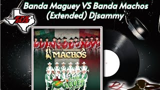 Banda Maguey VS Banda Machos Extended Mix Djsammy EtxDjs 2024 Quebraditas [upl. by Vere]