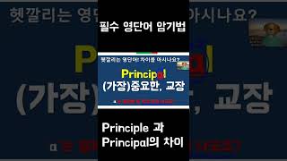 필수 영단어 암기법을 공개합니다 principal과 principle 차이 [upl. by Airaet760]