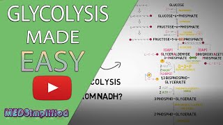 Glycolysis MADE EASY 2020  Carbohydrate Metabolism Simplified [upl. by Blanchard]