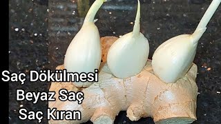 Büyükannem haklıydı Aşırı Saç Büyümesi için Gizli Teknik En iyi SAÇ BAKIM YAĞI TARİFLERİ💯 [upl. by Maurer525]