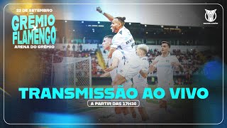 TRANSMISSÃO AO VIVO  GRÊMIO x FLAMENGO CAMPEONATO BRASILEIRO 2024 [upl. by Nyasuh]