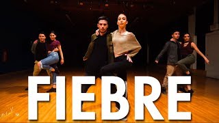 Ricky Martin ft Wisin Yandel  Fiebre Dance Video  Choreography  MIhranTV [upl. by Hakaber260]