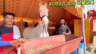 बालोतरा मेले में आया नुकरे घोड़े बिकाऊ balotra mela 2024 [upl. by Onirefes]