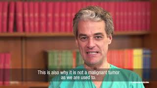 What is Aggressive Fibromatosis or Desmoid Tumor  Gronchi MD [upl. by Dacy658]