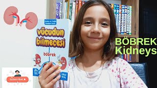 Vücudun Bilmecesi  BÖBREK  Kidneys [upl. by Nilra]