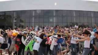 The Harlem Shake Best HD Compilation 2013 NEW Part 1 [upl. by Enymsaj]