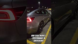 New Tesla Model 3 Performance In Quicksilver teslamodel3 quicksilver model3 model3performance [upl. by Abdel583]