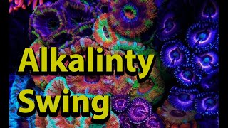 Reef Tank Alkalinity Swing [upl. by Ynnal]