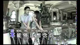 李茂山 Li Mao Shan 愛你 Ai Ni Love Youflv [upl. by Eelac415]