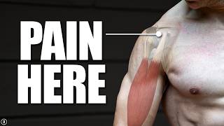 Biceps Tendinopathy  Tendinitis  Anterior Shoulder Pain Rehab Education amp Exercises [upl. by Noissap]