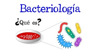 🦠 ¿Qué es la Bacteriología 🦠 Fácil y Rápido  BIOLOGÍA [upl. by Pelaga]