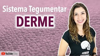 Derme Sistema Tegumentar 34  Anatomia etc [upl. by Edgell]