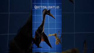 ¿Sabías que jurassicworlddominion quetzalcoatlus morosintrepidus ornithocheirus microraptor [upl. by Ytima402]