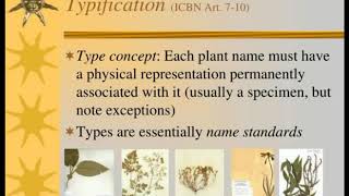 Taxonomical Ranks Typification Principal of Priority amp Valid Publication by Dr Mahendra Bhise [upl. by Lopes]