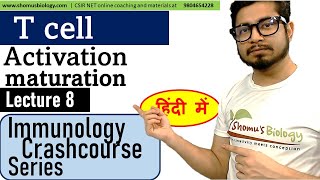 T cell maturation activation and differentiation in Hindi [upl. by Libbey]