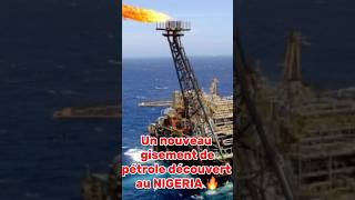 Un nouveau gisement de pétrole découvert au NIGERIA [upl. by Azalea259]