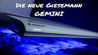 Giesemann Gemini Hybrid [upl. by Nossila]