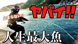 【神回】ごく普通の堤防であり得ない大物！釣り人生40年の最大魚を釣ってしまった‼️ [upl. by Aryam99]