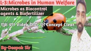 L3Microbes in Human WelfareMicrobes as Biocontrol AgentsBiofertilizersAphidsLady BirdBt12th [upl. by Paris]