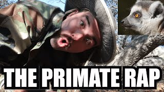 The Primate Rap [upl. by Clarissa]