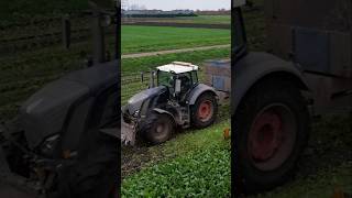 Fendt 828 Vario Black Beauty beetharvest fendt tractor farming agriculture subscribe harvest [upl. by Codi671]