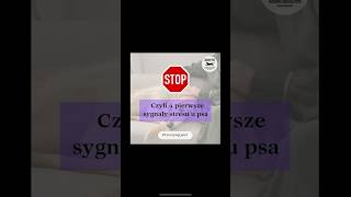 STOP 🛑 czyli 4 pierwsze sygnały stresu u psa 🐶♥️ [upl. by Bekah]