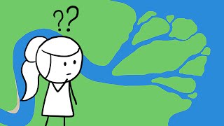 Why Do Rivers Have Deltas [upl. by Eibloc]