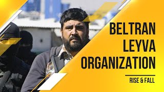 Cartel  Beltran Leyva Organization Rise amp Fall [upl. by Aelber23]