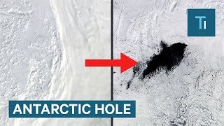 A mysterious hole has reappeared in the middle of Antarctica [upl. by Waltner541]