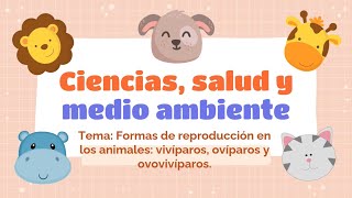 FORMAS DE REPRODUCCION DE LOS ANIMALES [upl. by Oek166]