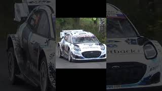 WRC RALLY 2024 CENTRAL EUROPE RALLYOFGODS automobile toyotagazooracing wrcrally [upl. by Aneez]